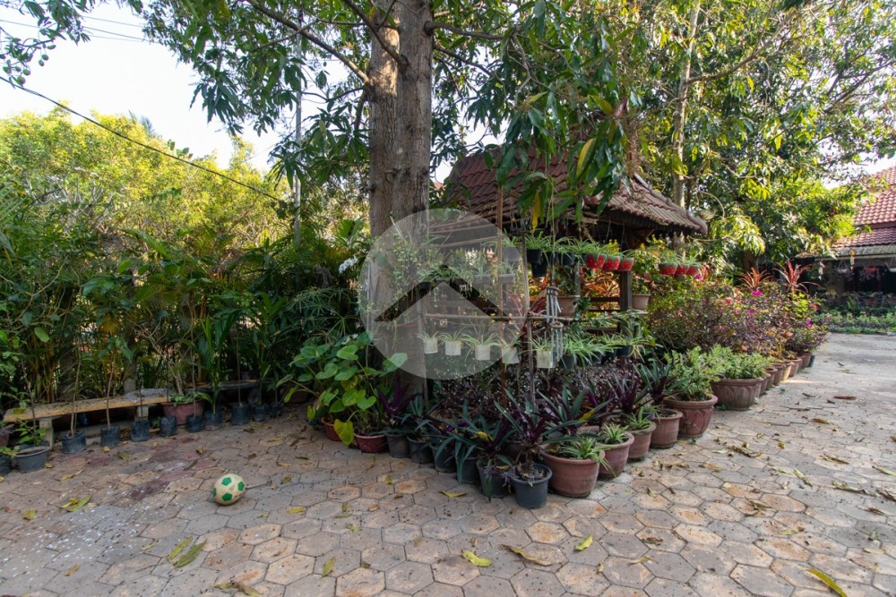 3 Bedroom House For Rent - Kouk Chak, Siem Reap - Image 26