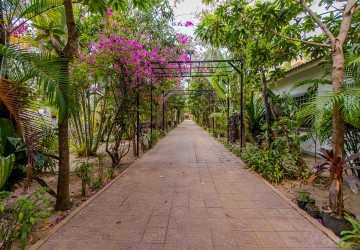 12 Unit Villa Compound For Sale -Svay Dangkum, Siem Reap thumbnail