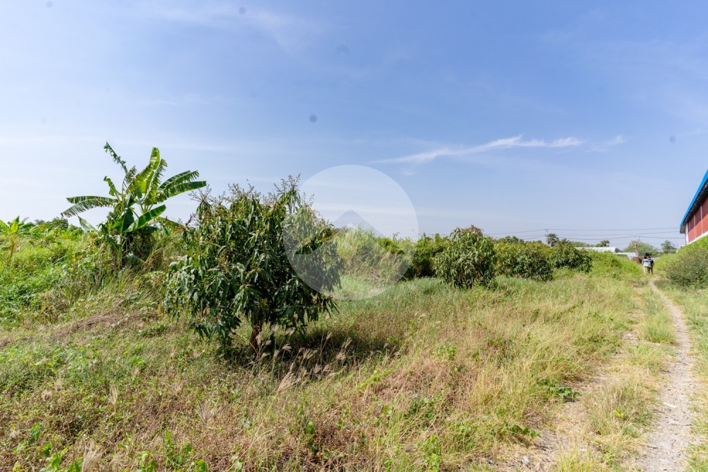 11,549 Sqm Land For Sale - Ta Khmau, Kandal - Image 7