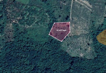 6,343 Sqm Residential Land For Sale - Khun Ream, Bantay Srei, Siem Reap thumbnail