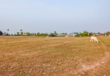 778 Sqm Residential Land For Sale - Chreav, Siem Reap thumbnail