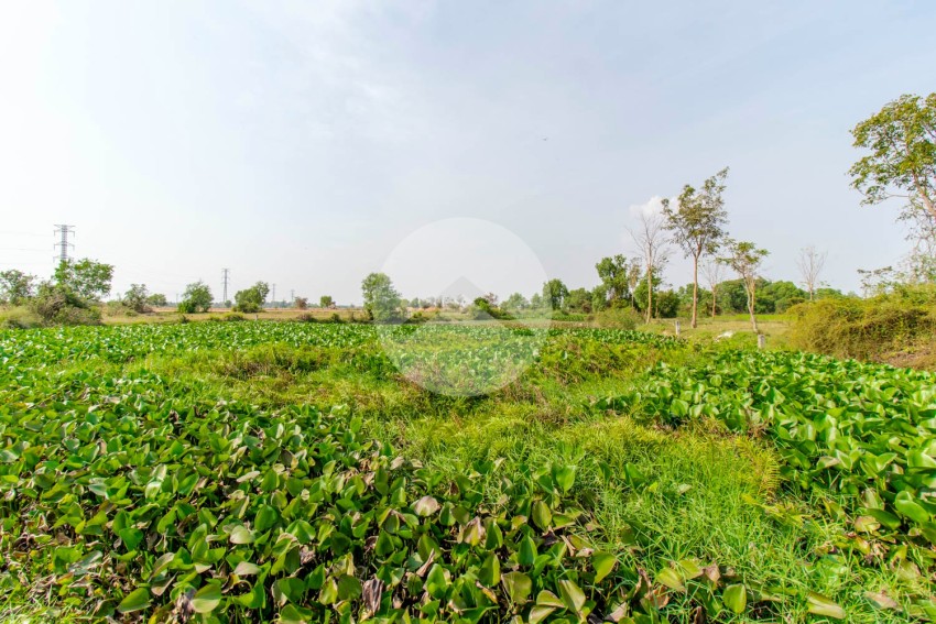 2,875 Sqm  Land For Sale - Svay Prey, Svay Dangkum, Siem Reap