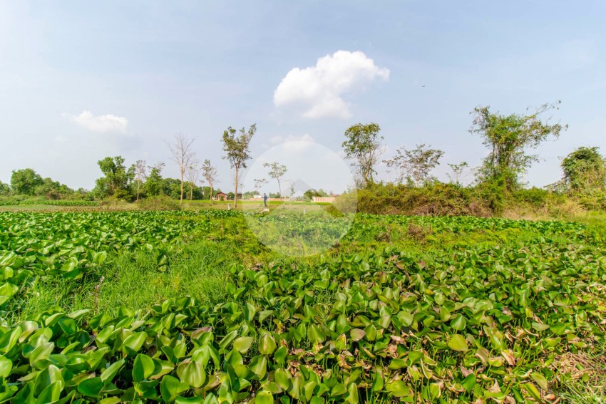 2,875 Sqm  Land For Sale - Svay Prey, Svay Dangkum, Siem Reap