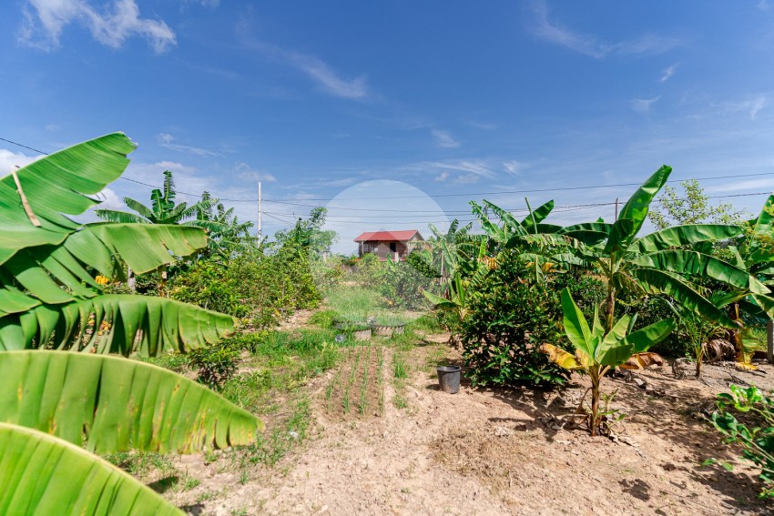 870 Sqm Residential Land For Sale -  Krabei Riel, Siem Reap