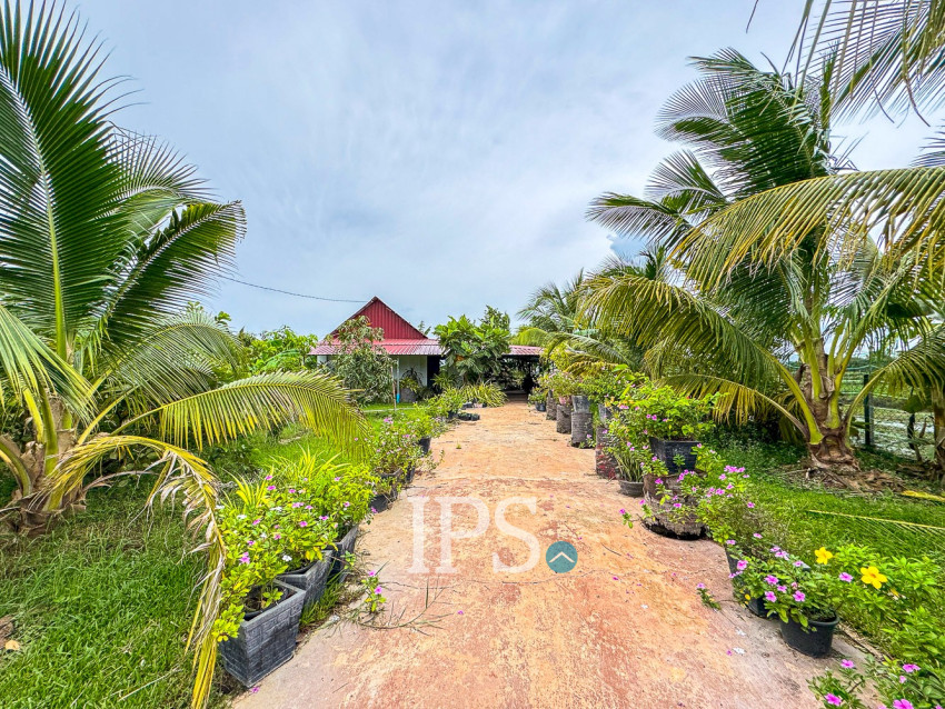 870 Sqm Residential Land For Sale -  Krabei Riel, Siem Reap