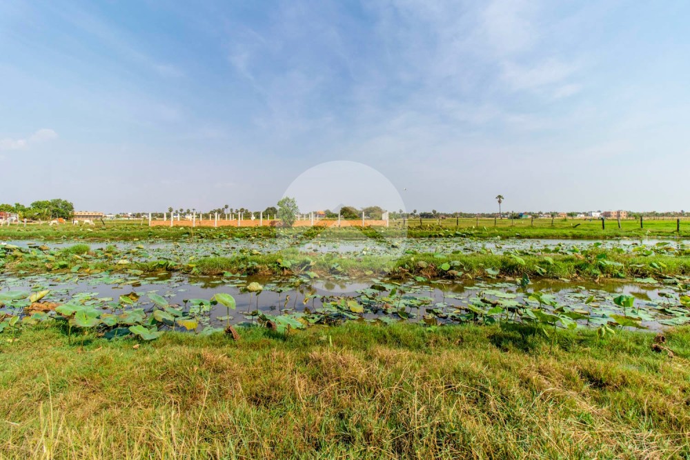 6,708 Sqm Residential Land For Sale - Svay Dangkum, Siem Reap - Image 4