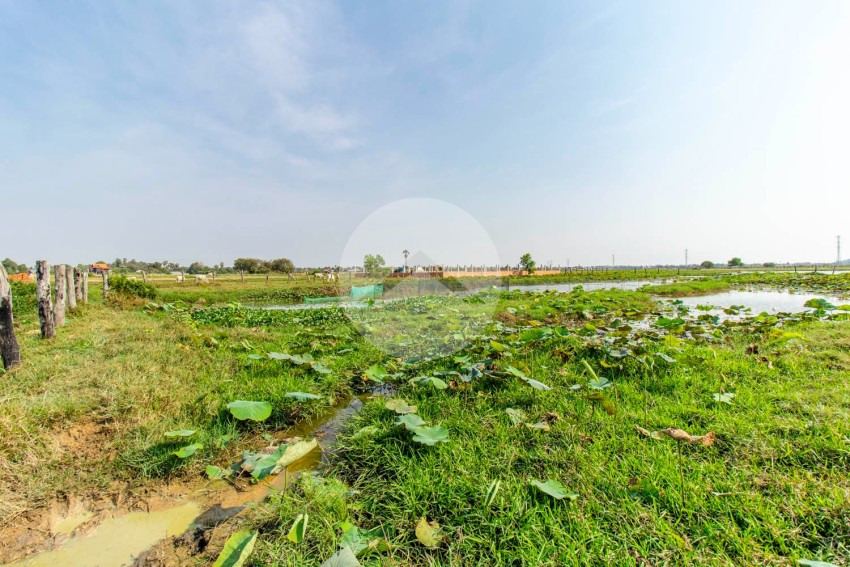 6,708 Sqm Residential Land For Sale - Svay Dangkum, Siem Reap