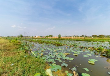 6,708 Sqm Residential Land For Sale - Svay Dangkum, Siem Reap thumbnail