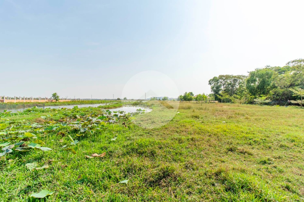 6,708 Sqm Residential Land For Sale - Svay Dangkum, Siem Reap - Image 8