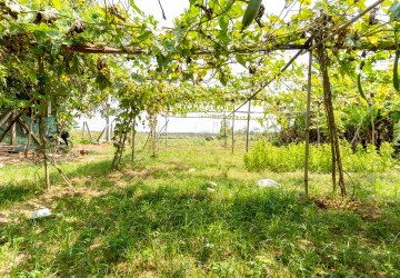4,990 Sqm Land For Sale - Ta Khmau, Kandal thumbnail
