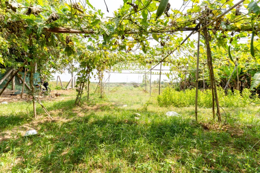 4,990 Sqm Land For Sale - Ta Khmau, Kandal