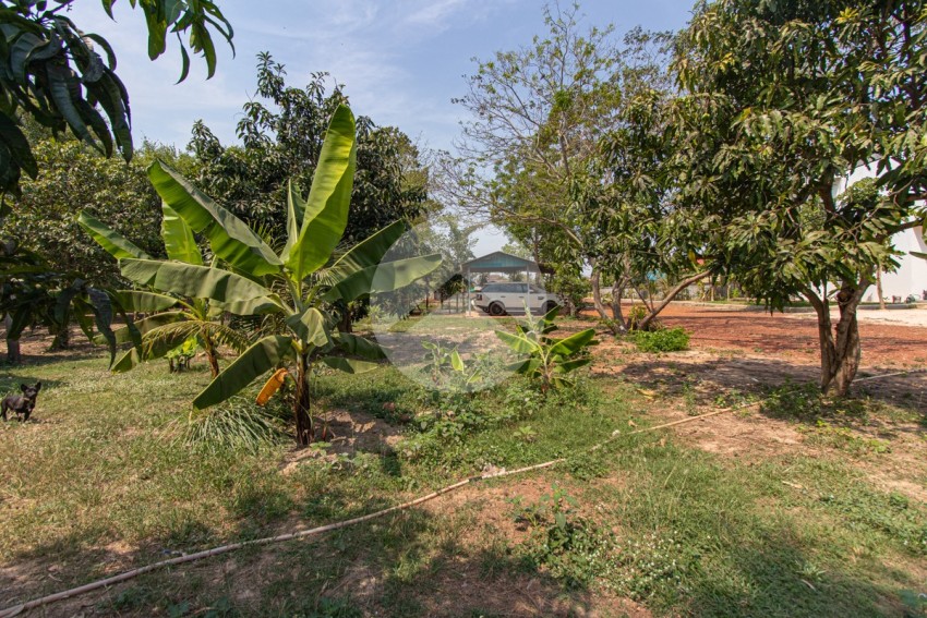 6,000 Sqm Residential Land For Sale - Chreav, Siem Reap