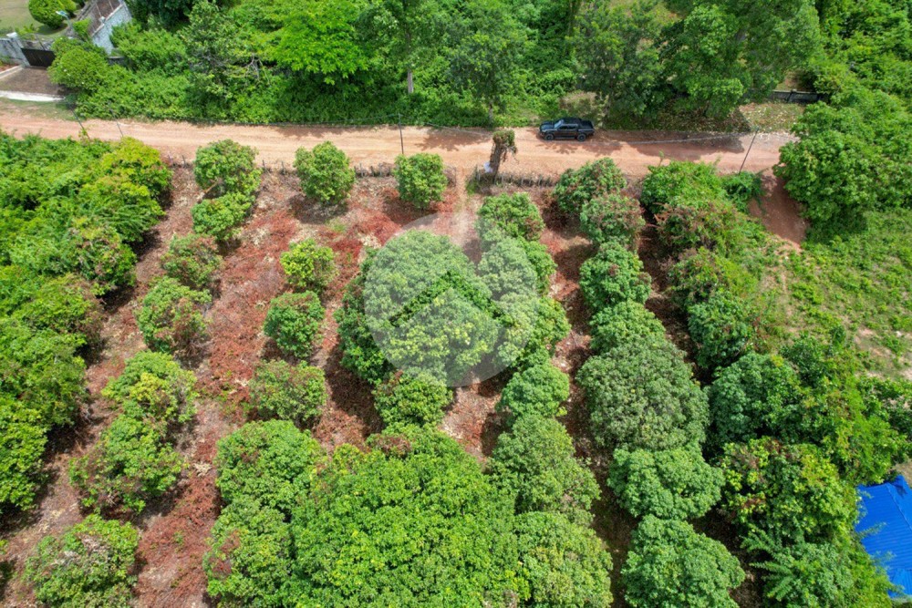 2,372 Sqm Land For Sale - Kep Province - Image 7