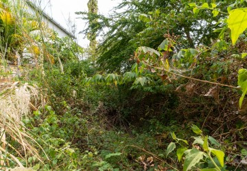 315 Sqm Residential Land For Sale - Svay Dangkum, Siem Reap thumbnail