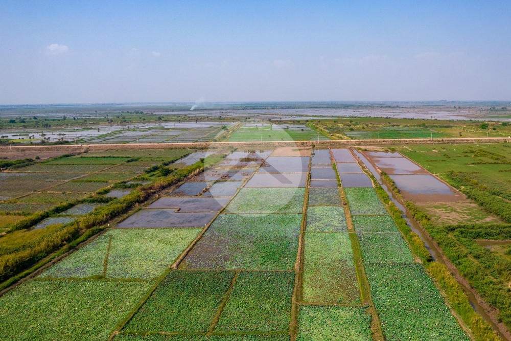 4,587 Sqm Land For Sale - Lvea Aem, Kandal Province - Image 3 4,587 Sqm Land For Sale - Lvea Aem, Kandal Province - Image 3