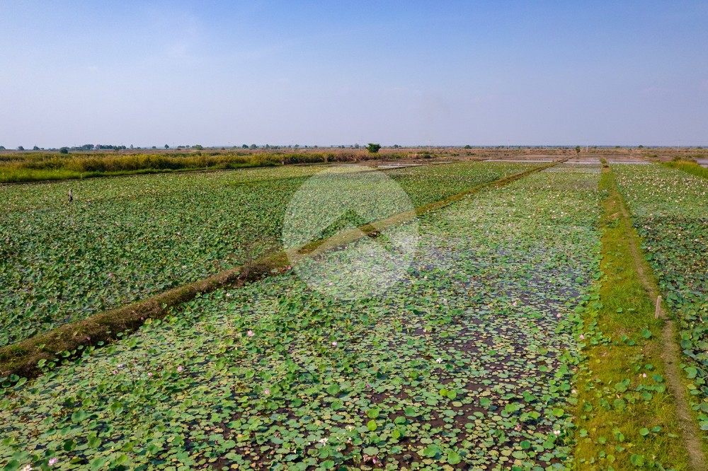 4,587 Sqm Land For Sale - Lvea Aem, Kandal Province - Image 12 4,587 Sqm Land For Sale - Lvea Aem, Kandal Province - Image 12