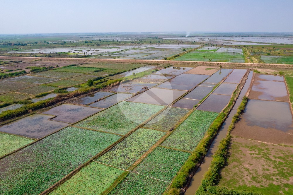 4,587 Sqm Land For Sale - Lvea Aem, Kandal Province - Image 4 4,587 Sqm Land For Sale - Lvea Aem, Kandal Province - Image 4