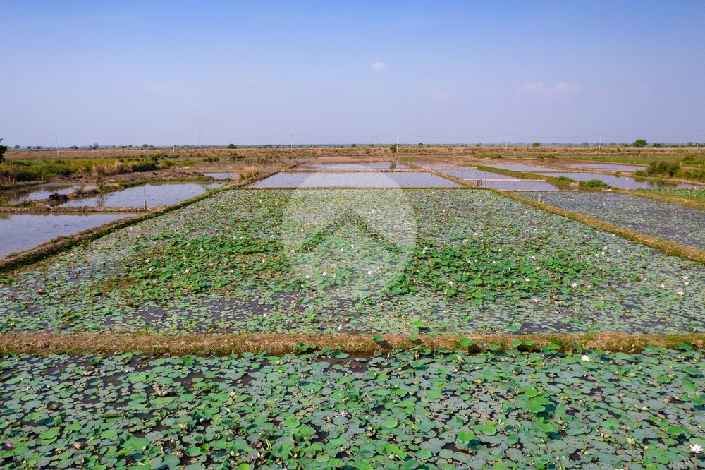 4,587 Sqm Land For Sale - Lvea Aem, Kandal Province - Image 7 4,587 Sqm Land For Sale - Lvea Aem, Kandal Province - Image 7