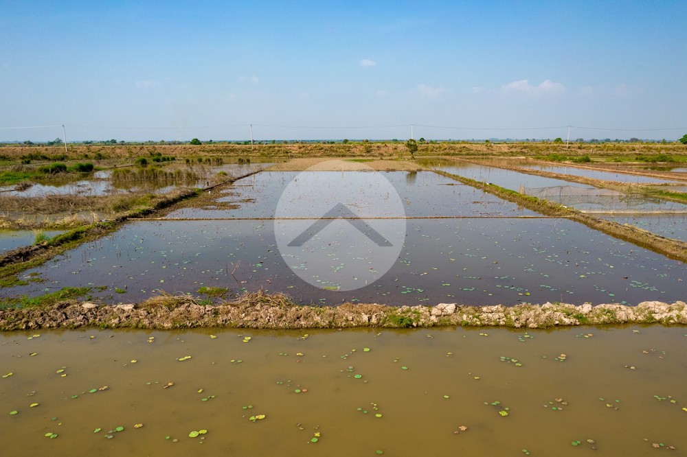 4,587 Sqm Land For Sale - Lvea Aem, Kandal Province - Image 9 4,587 Sqm Land For Sale - Lvea Aem, Kandal Province - Image 9
