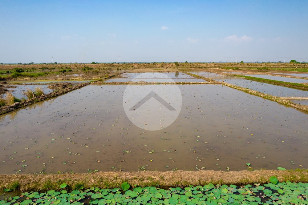 4,587 Sqm Land For Sale - Lvea Aem, Kandal Province - Image 8 4,587 Sqm Land For Sale - Lvea Aem, Kandal Province - Image 8