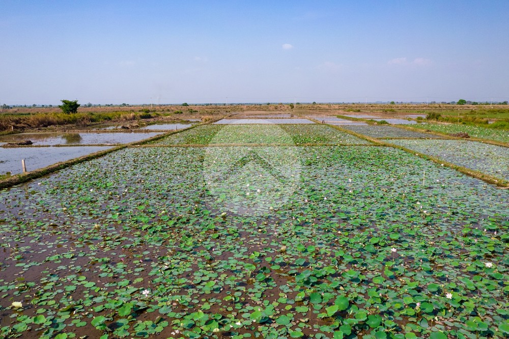 4,587 Sqm Land For Sale - Lvea Aem, Kandal Province - Image 6 4,587 Sqm Land For Sale - Lvea Aem, Kandal Province - Image 6