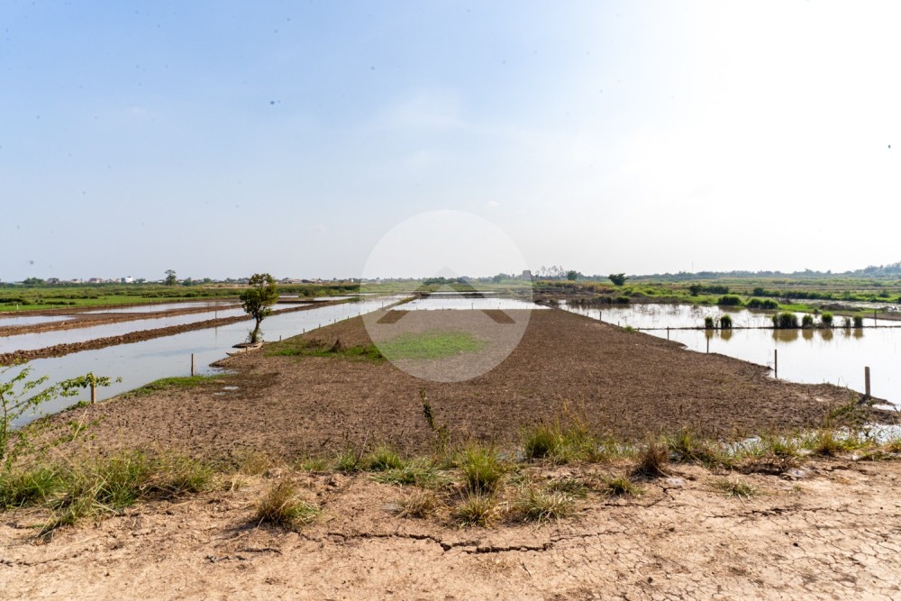 4,587 Sqm Land For Sale - Lvea Aem, Kandal Province - Image 14 4,587 Sqm Land For Sale - Lvea Aem, Kandal Province - Image 14