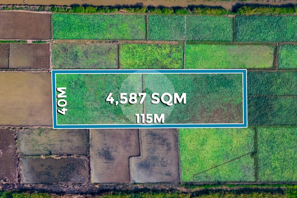 4,587 Sqm Land For Sale - Lvea Aem, Kandal Province 4,587 Sqm Land For Sale - Lvea Aem, Kandal Province
