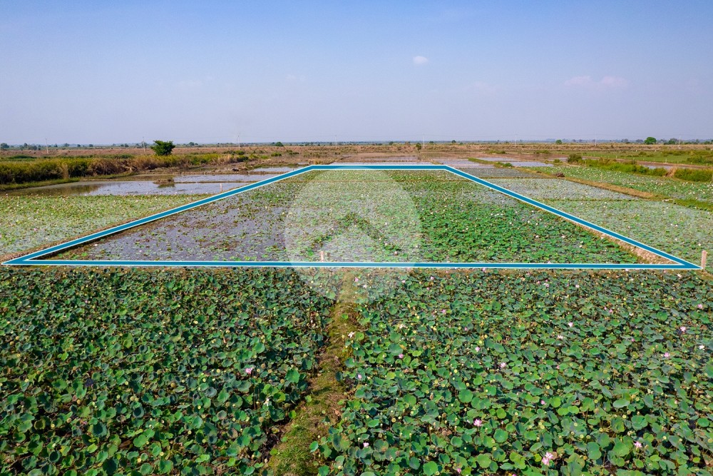 4,587 Sqm Land For Sale - Lvea Aem, Kandal Province - Image 2 4,587 Sqm Land For Sale - Lvea Aem, Kandal Province - Image 2