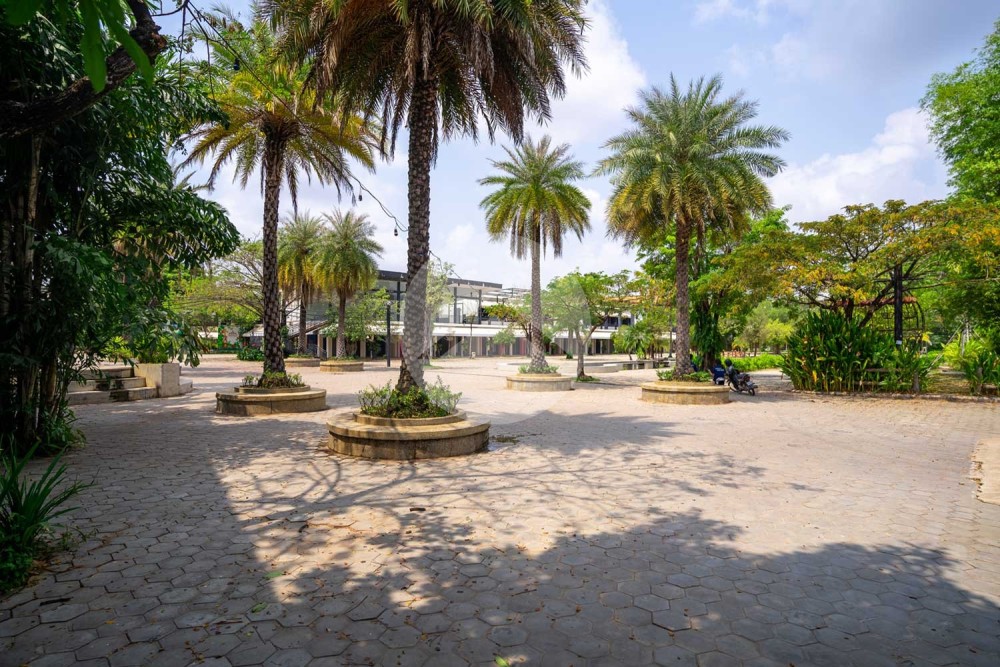 Commercial Property For Rent - Svay Dangkum, Siem Reap - Image 16