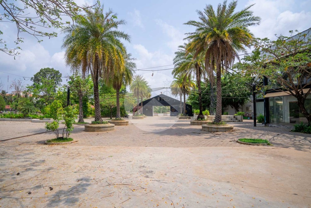 Commercial Property For Rent - Svay Dangkum, Siem Reap - Image 7