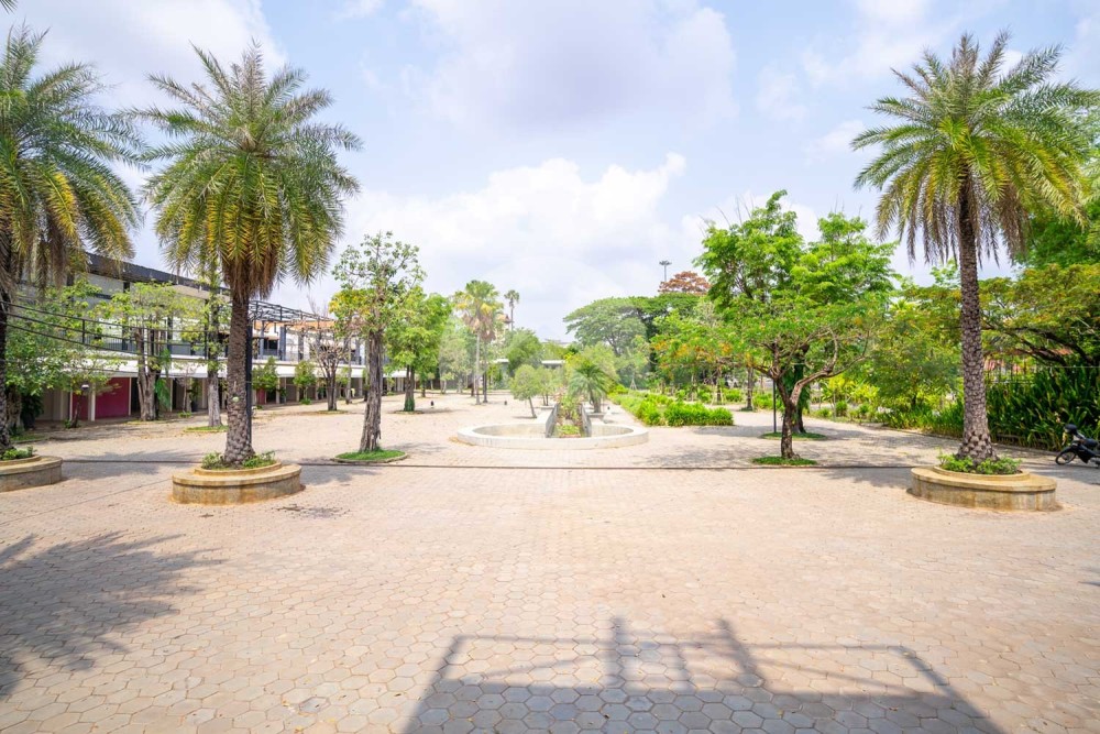 Commercial Property For Rent - Svay Dangkum, Siem Reap - Image 17