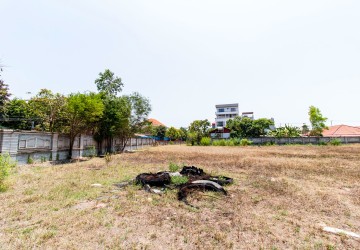 7,037 Sqm Commercial Land For Sale - Svay Dangkum, Siem Reap thumbnail