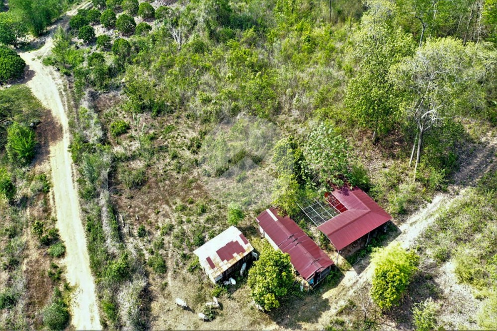 11 Hectare Land For Sale - Ou Ta Vau, Pailin Province - Image 4 11 Hectare Land For Sale - Ou Ta Vau, Pailin Province - Image 4