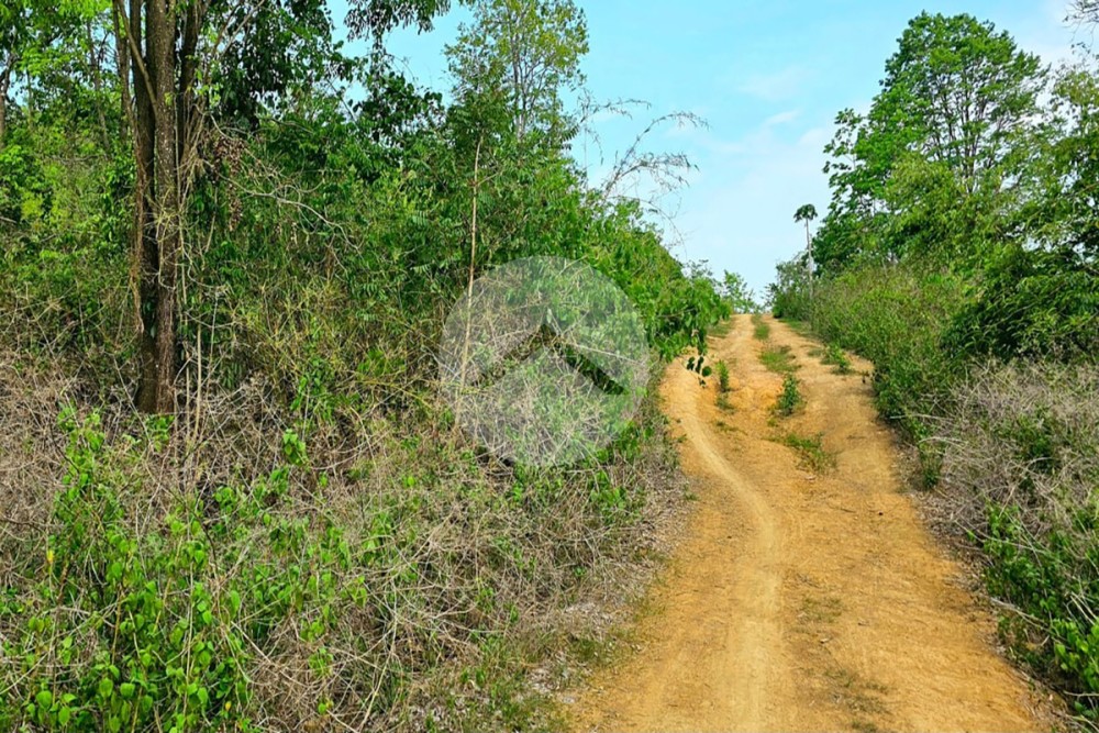 11 Hectare Land For Sale - Ou Ta Vau, Pailin Province - Image 6 11 Hectare Land For Sale - Ou Ta Vau, Pailin Province - Image 6