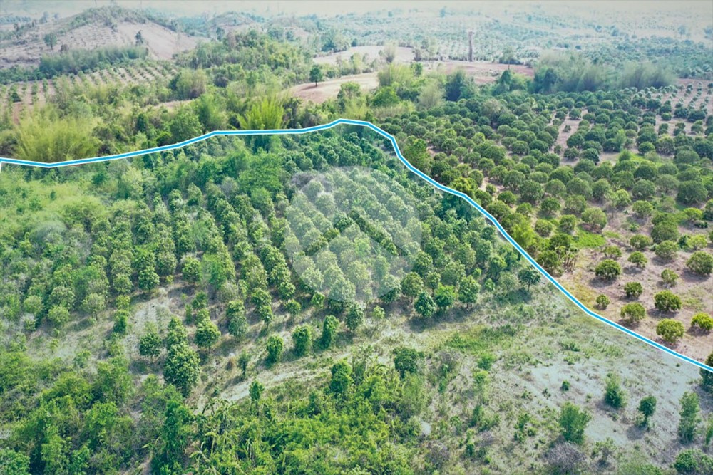 11 Hectare Land For Sale - Ou Ta Vau, Pailin Province - Image 2 11 Hectare Land For Sale - Ou Ta Vau, Pailin Province - Image 2
