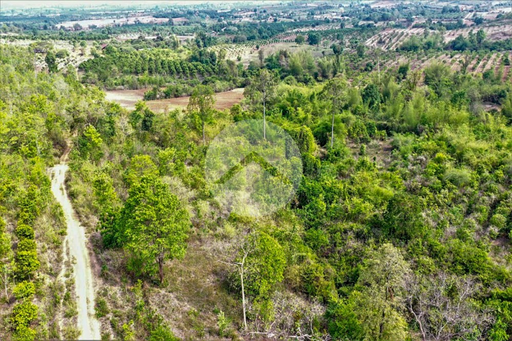 11 Hectare Land For Sale - Ou Ta Vau, Pailin Province - Image 5 11 Hectare Land For Sale - Ou Ta Vau, Pailin Province - Image 5