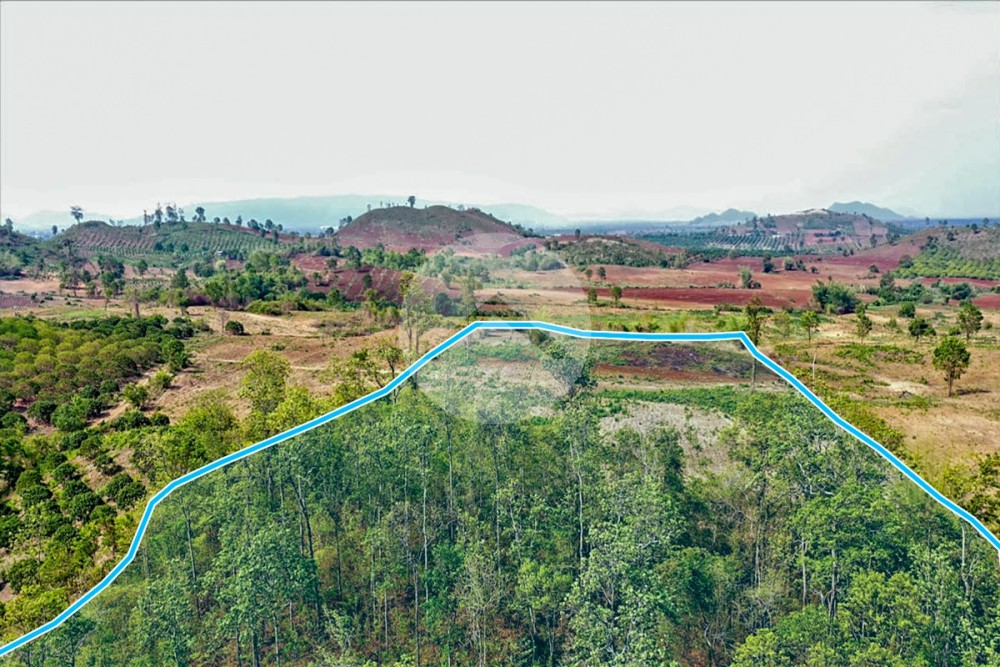 11 Hectare Land For Sale - Ou Ta Vau, Pailin Province - Image 3 11 Hectare Land For Sale - Ou Ta Vau, Pailin Province - Image 3