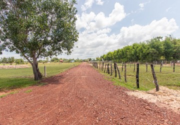 375 Sqm Residential Land For Sale - Svay Dangkum, Siem Reap thumbnail