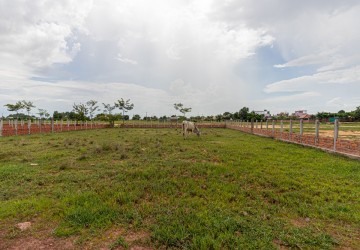 1,088 Sqm Residential  Land For Sale - Svay Prey, Siem Reap thumbnail