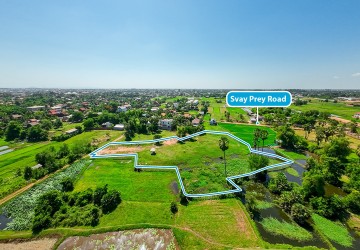 6,673 Sqm Land For Sale - Svay Prey, Svay Dangkum, Siem Reap thumbnail