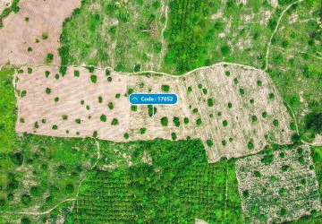 61,799 Sqm Land For Sale - Khun Ream, Bantay Srei, Siem Reap thumbnail