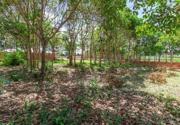 625 Sqm Land For Sale - Next to Golf Course, Svay Dangkum, Siem Reap thumbnail