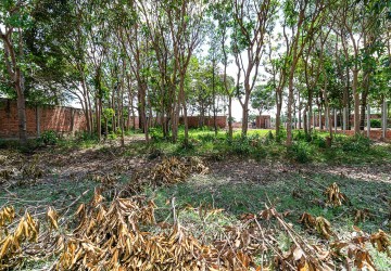 625 Sqm Land For Sale - Next to Golf Course, Svay Dangkum, Siem Reap thumbnail