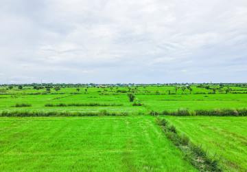 14.9 Hectare Residential Land For Sale - Near Phnom Krom, Sangkat Siem Reap thumbnail