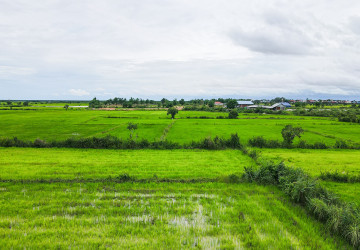 14.9 Hectare Residential Land For Sale - Near Phnom Krom, Sangkat Siem Reap thumbnail