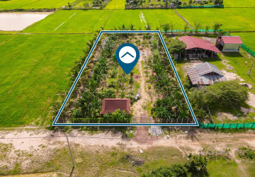 2,100 Sqm Land For Sale - Krabei Riel, Siem Reap thumbnail
