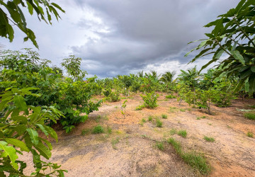 2,100 Sqm Land For Sale - Krabei Riel, Siem Reap thumbnail
