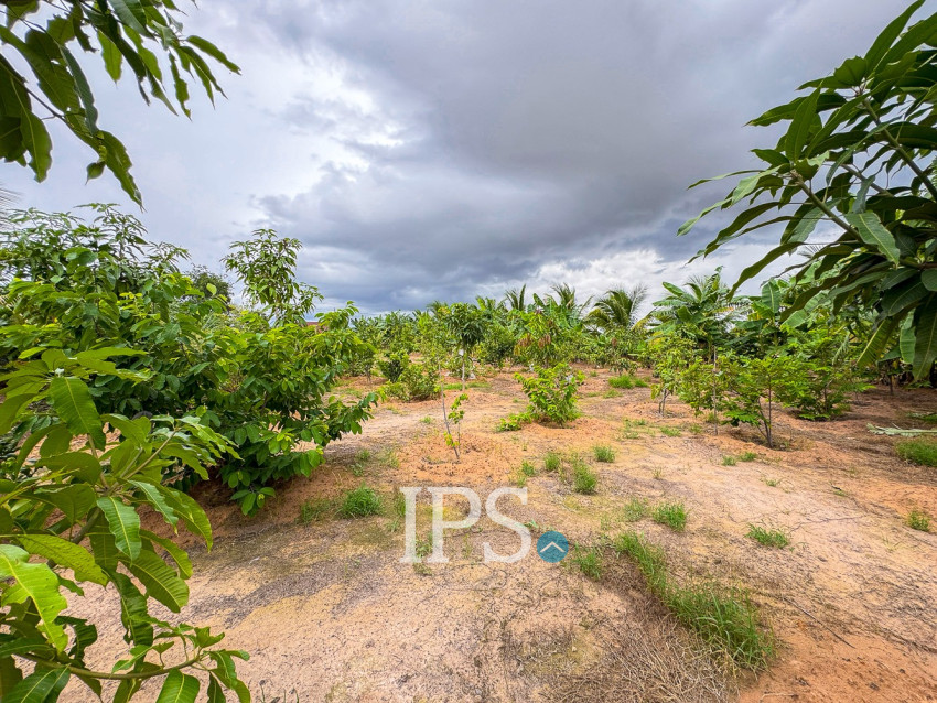 2,100 Sqm Land For Sale - Krabei Riel, Siem Reap