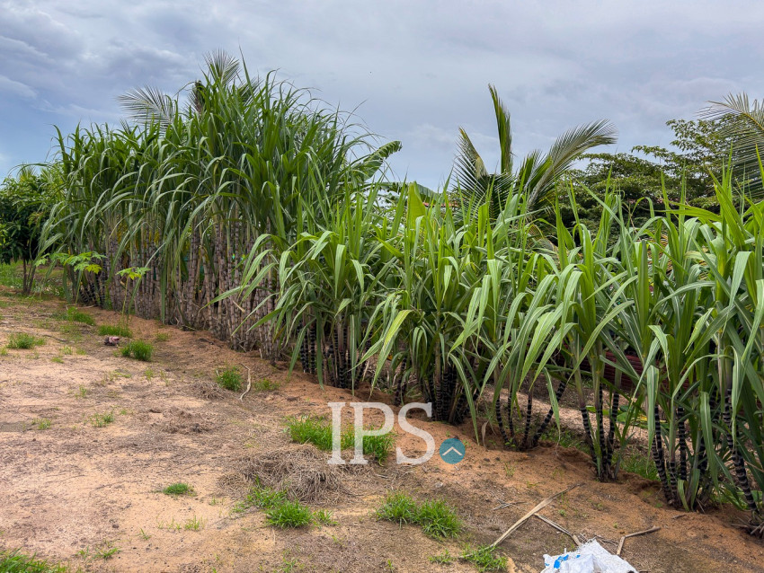 2,100 Sqm Land For Sale - Krabei Riel, Siem Reap