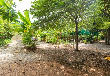 1,073 Commercial Land For Sale - Svay Dangkum, Siem Reap thumbnail